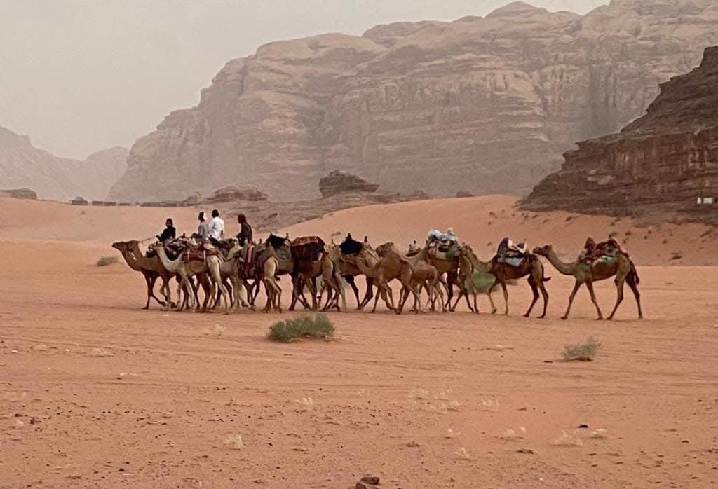 Wadi Rum Trail Zewnętrze zdjęcie