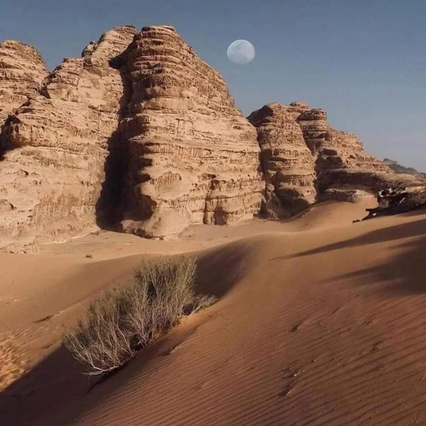 Wadi Rum Trail Zewnętrze zdjęcie